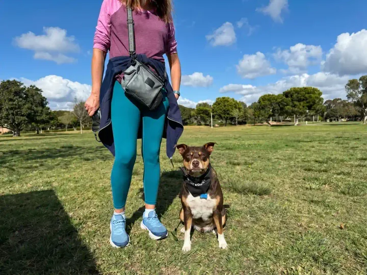 Why Anaheim Families Choose Pawcific