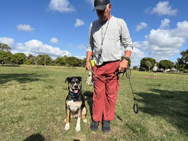 Why Los Angeles Dog Owners Choose Pawcific