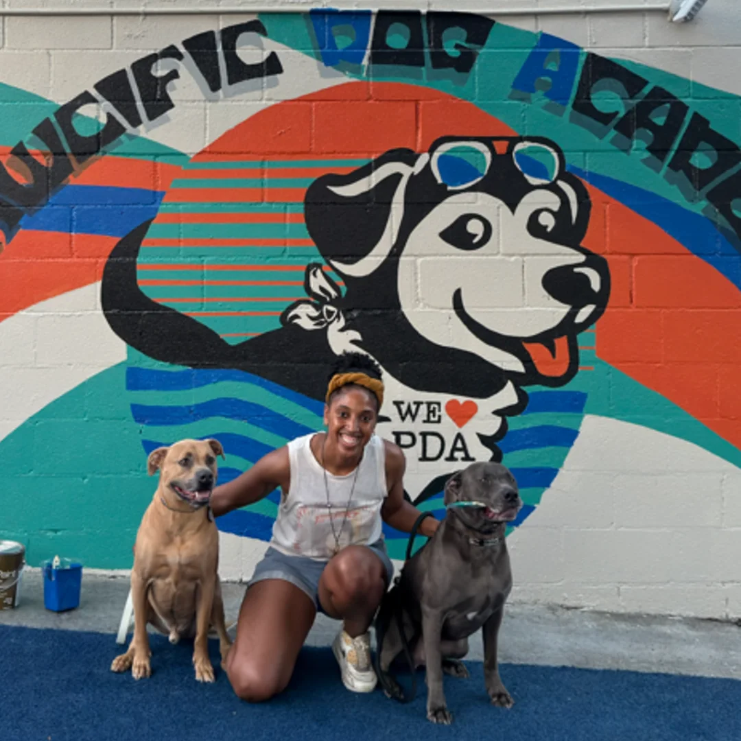 Lifetime support and guaranteed results in San Diego