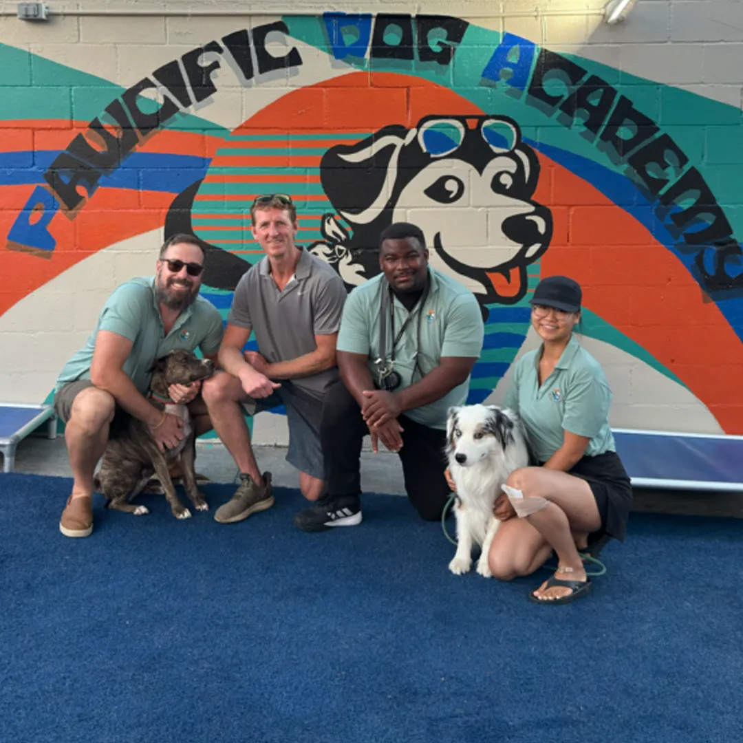 What Dogs Need (And What Owners Need)