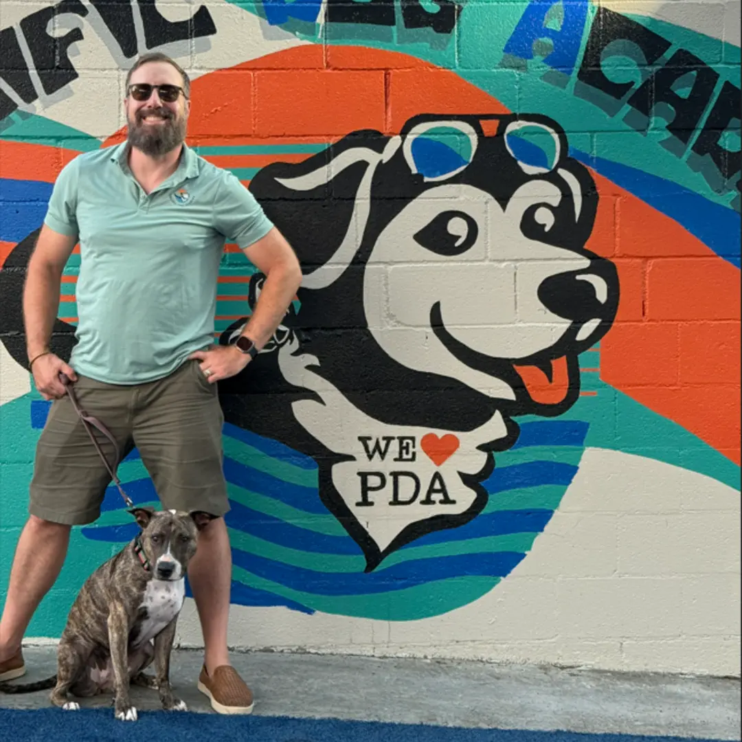 Transform Your Dog's Behavior With Professional Board and Train