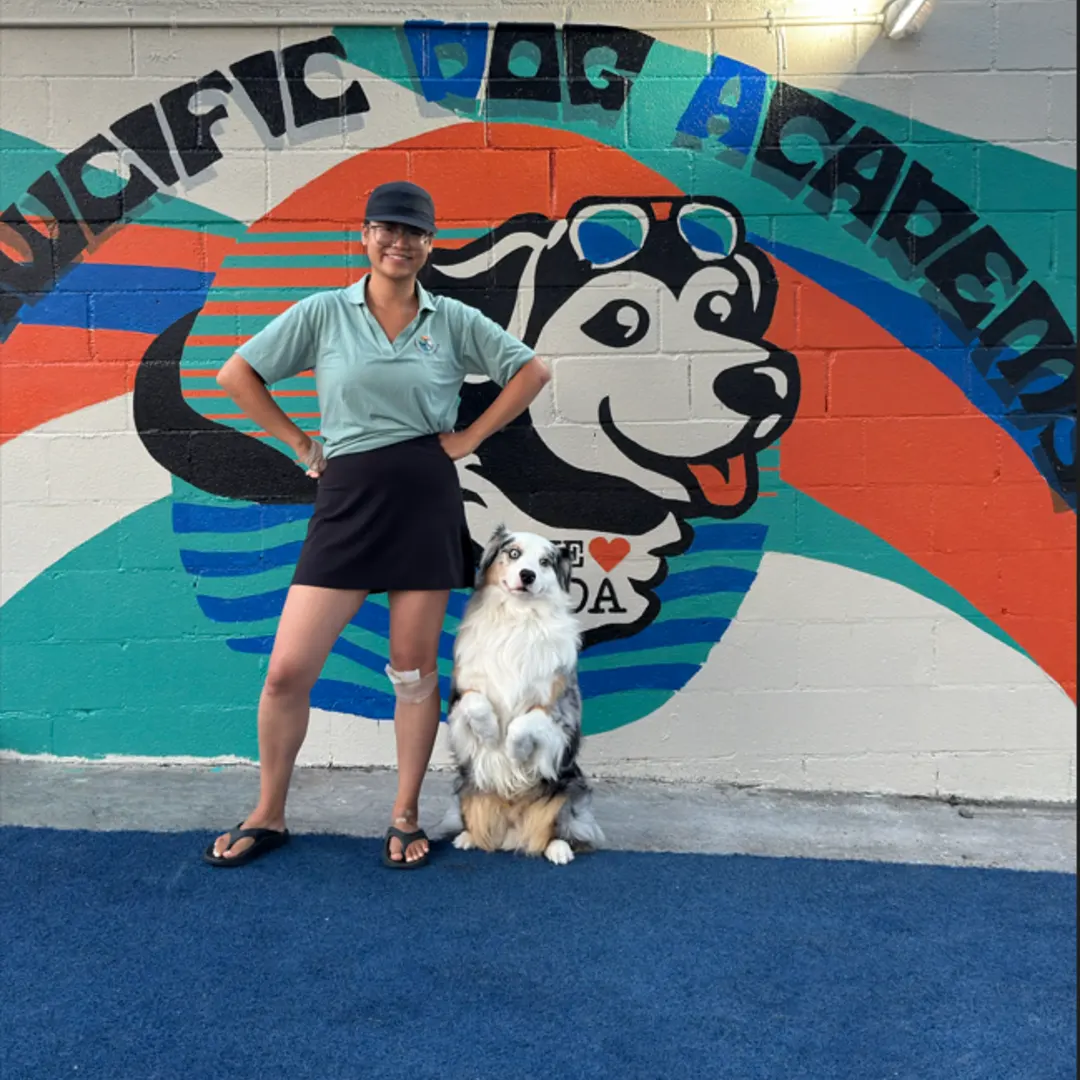 Build a Strong Foundation With Our Puppy Training Programs